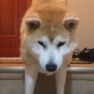 Meet your Posher, Nancy